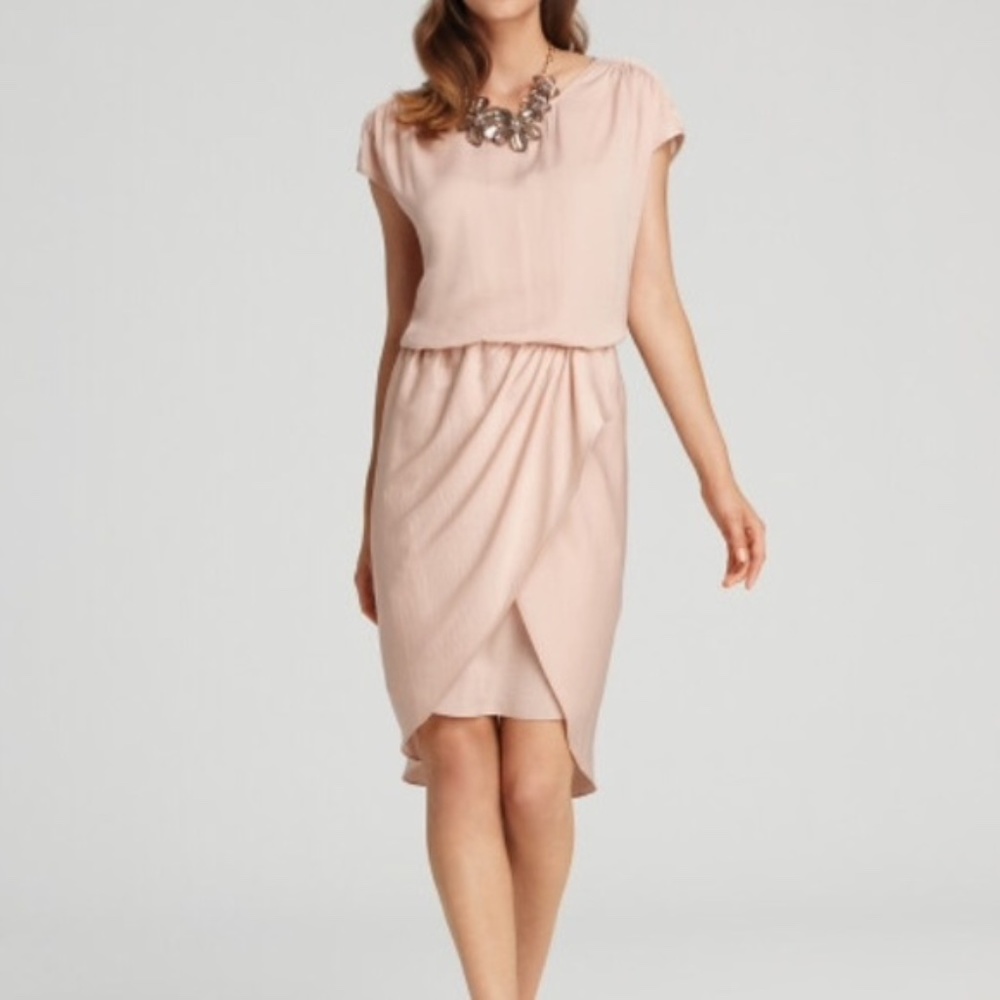 BCBGMAXAZRIA Aurora Dress in Bare Pink